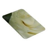 White Rose Magnet (Rechte Seite)