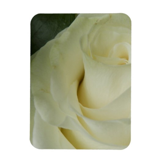 White Rose Magnet (Vertikal)