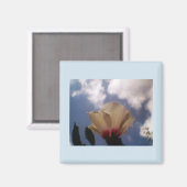 White Rose Magnet (Vorderseite/Rückseite)