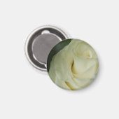 White Rose Magnet (Vorderseite/Rückseite)