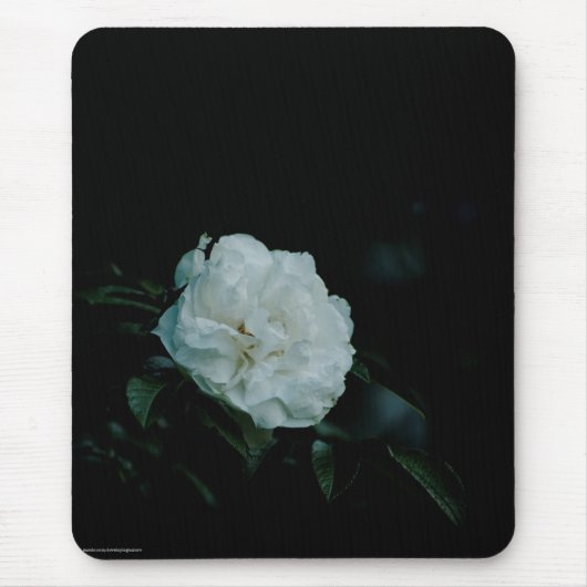 White Rose Mousepad (Vorne)