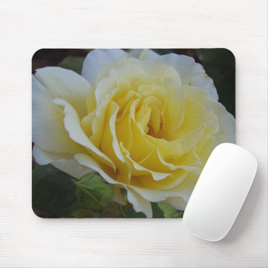 White Rose Mousepad (Mit Mouse)