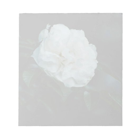 White Rose Notizblock (Vorderseite)