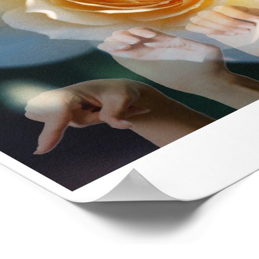 White Rose of Peace - ASL Poster (Ecke)