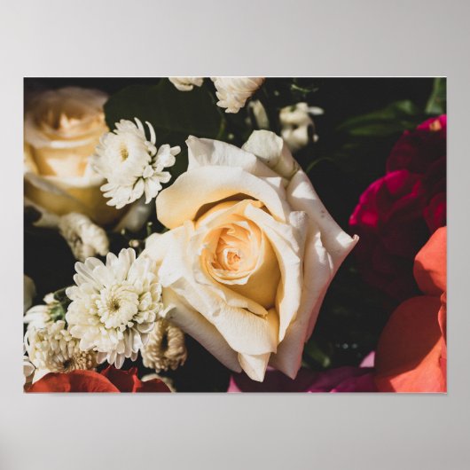 White Rose Photography Poster (Vorne)