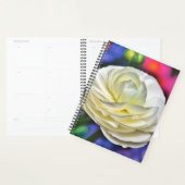 White Rose Planer (Anzeige)
