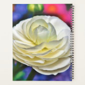 White Rose Planer (Rückseite)