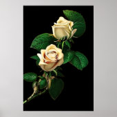 White Rose Poster (Vorne)