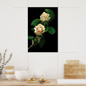White Rose Poster (Küche)