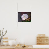 White Rose Poster (Küche)