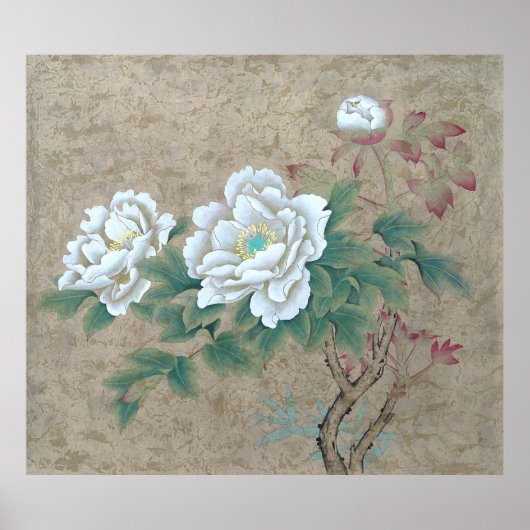 White Rose Poster (Vorne)