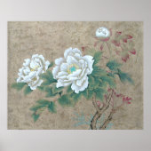 White Rose Poster (Vorne)