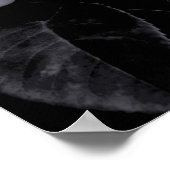 White Rose Poster (Ecke)