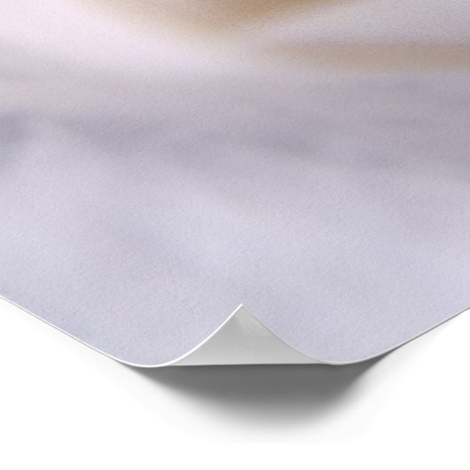 White Rose Poster (Ecke)