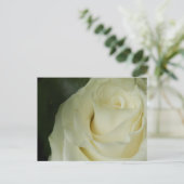 White Rose Postkarte (Stehend Vorderseite)