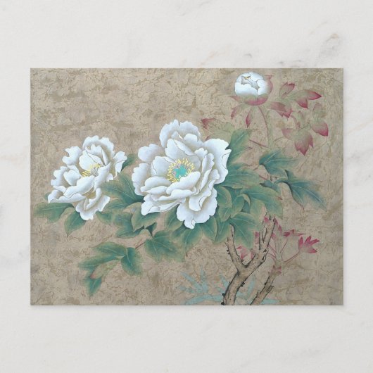 White Rose Postkarte (Vorderseite)