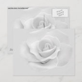 White Rose Postkarte (Vorne/Hinten)