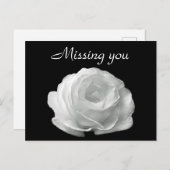 White Rose Postkarte (Vorne/Hinten)