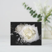 White Rose Postkarte (Stehend Vorderseite)