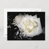 White Rose Postkarte (Vorne/Hinten)