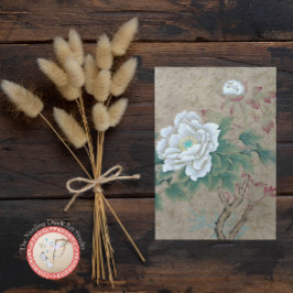 White Rose Postkarte