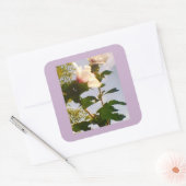 White Rose Quadratischer Aufkleber (Umschlag)