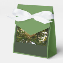White Rose Ribbon-Geschenk