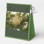 White Rose Ribbon-Geschenk Geschenkschachtel (Rückseite)