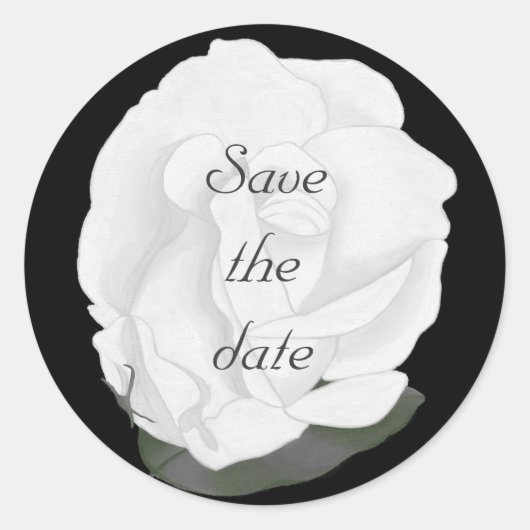 White Rose Save the Date Stickers (Vorderseite)