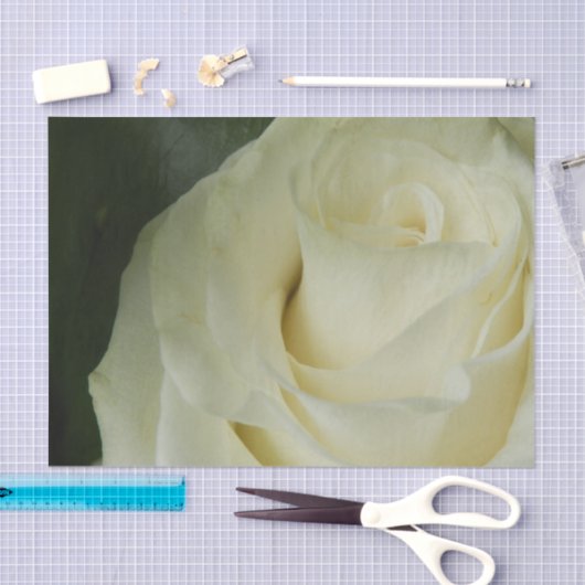 White Rose Seidenpapier (Handwerk)