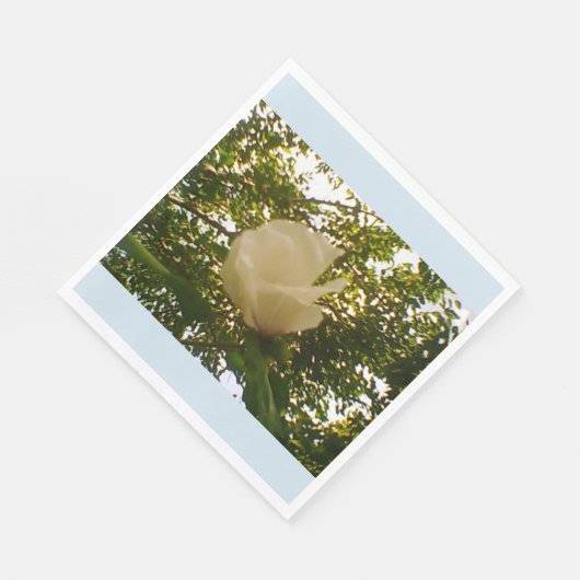 White Rose Serviette (Ecke)