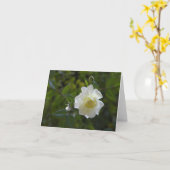 White Rose Shadow Fairy Karte (Gelbe Blume)