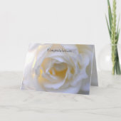 White rose soft focus karte (Vorderseite)