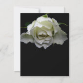 White Rose Speichern Sie die Ankündigungen (Rückseite)