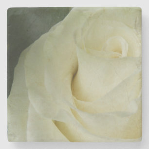 White Rose Steinuntersetzer