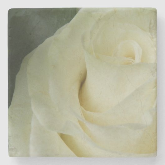 White Rose Steinuntersetzer (Vorderseite)