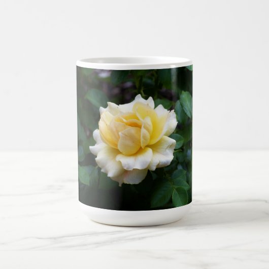 White Rose Tasse (Mittel)