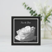 White Rose Wedding Save the Date Invite (Stehend Vorderseite)