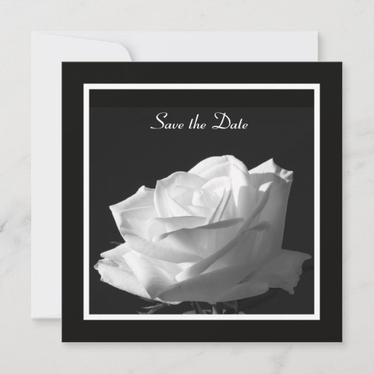 White Rose Wedding Save the Date Invite (Vorderseite)