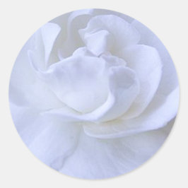 White Rose Wedding Sticker