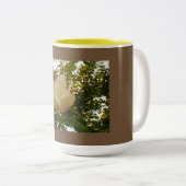 White Rose Zweifarbige Tasse (VorderseiteRechts)