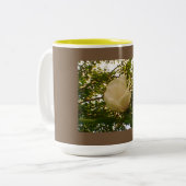 White Rose Zweifarbige Tasse (Vorderseite Links)