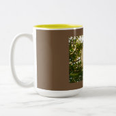 White Rose Zweifarbige Tasse (Links)