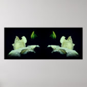 White Rosenknospe Blumen Mirror Abstrakt Poster (Vorne)