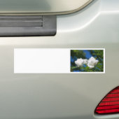 White Roses Autoaufkleber (Auf Auto)