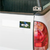 White Roses Autoaufkleber (Auf Lkw)