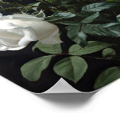 White Roses Blume Art Print Poster (Ecke)