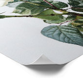 White Roses Blume Art Print Poster (Ecke)