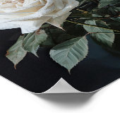 White Roses Blume Art Print Poster (Ecke)