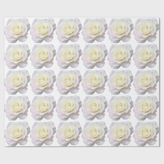 White Roses Geschenkpapier (Flach)